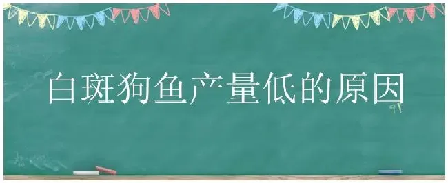 白斑狗鱼产量低的原因 | 三农问答