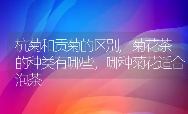 营养土是什么,营养土是什么 | 养殖常见问题