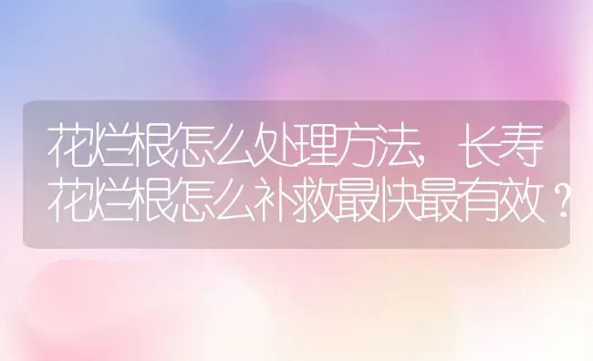 花烂根怎么处理方法,长寿花烂根怎么补救最快最有效？ | 养殖常见问题