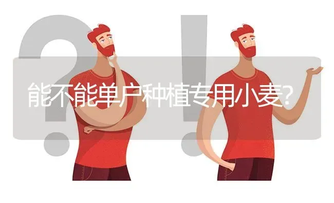 能不能单户种植专用小麦? | 养殖问题解答