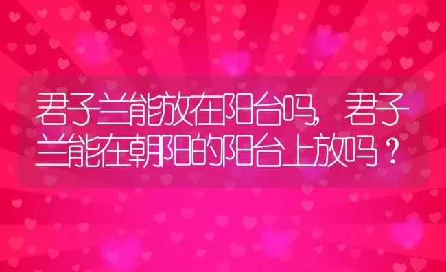 君子兰能放在阳台吗,君子兰能在朝阳的阳台上放吗？ | 养殖常见问题