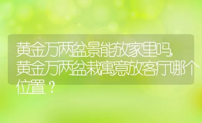 黄金万两盆景能放家里吗,黄金万两盆栽寓意放客厅哪个位置？ | 养殖常见问题