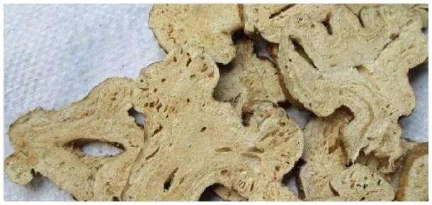 白术与茯苓的区别 | 三农问答