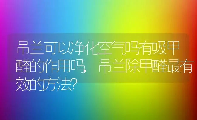 吊兰可以净化空气吗有吸甲醛的作用吗,吊兰除甲醛最有效的方法？ | 养殖常见问题