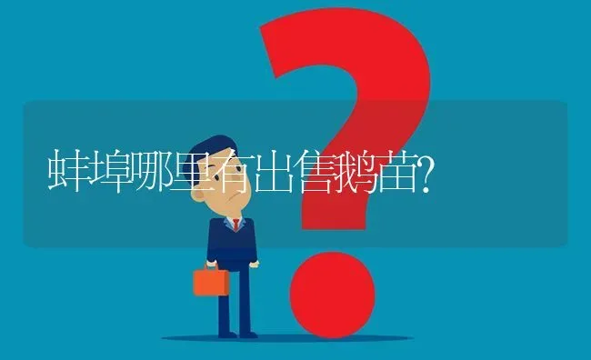 蚌埠哪里有出售鹅苗? | 养殖问题解答