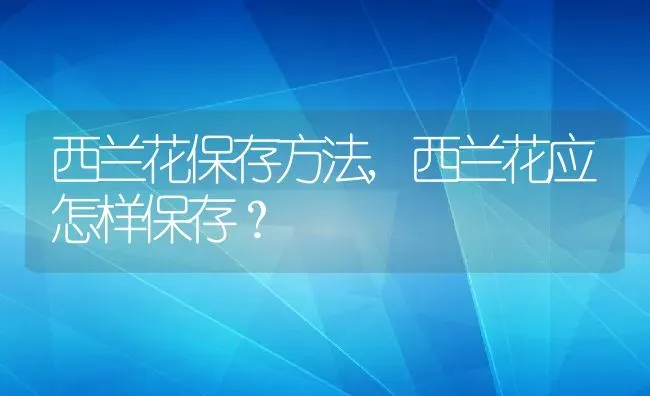 西兰花保存方法,西兰花应怎样保存？ | 养殖常见问题