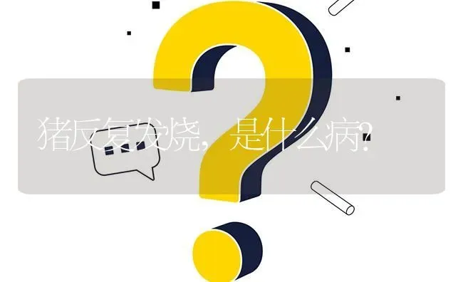 猪反复发烧,是什么病? | 养殖问题解答