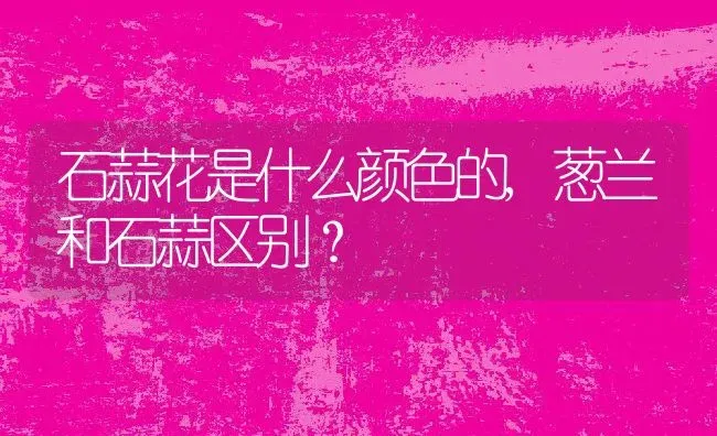 石蒜花是什么颜色的,葱兰和石蒜区别？ | 养殖常见问题