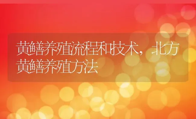 黄鳝养殖流程和技术,北方黄鳝养殖方法 | 养殖常见问题