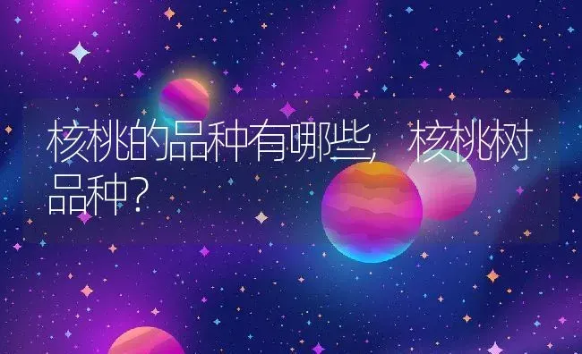 核桃的品种有哪些,核桃树品种？ | 养殖常见问题