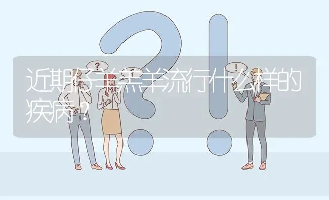 近期仔羊羔羊流行什么样的疾病? | 养殖问题解答