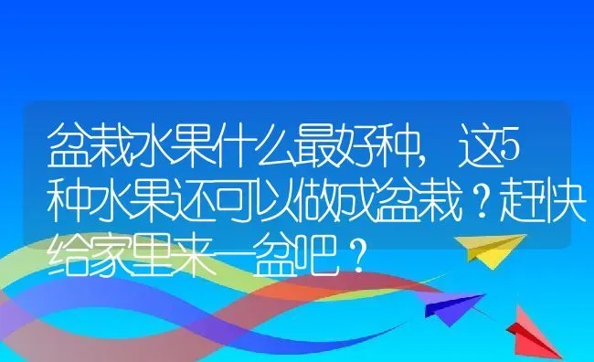 盆栽水果什么最好种,这5种水果还可以做成盆栽？赶快给家里来一盆吧？ | 养殖常见问题