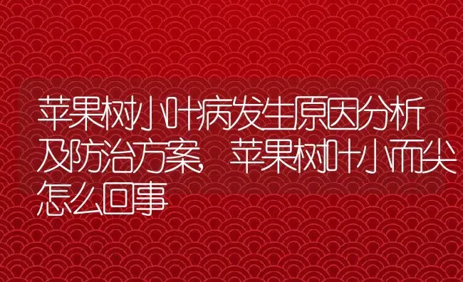 苹果树小叶病发生原因分析及防治方案,苹果树叶小而尖怎么回事 | 养殖常见问题