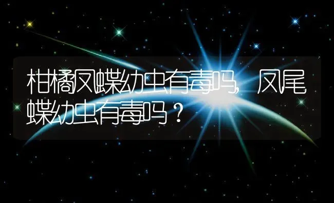 柑橘凤蝶幼虫有毒吗,凤尾蝶幼虫有毒吗？ | 养殖常见问题