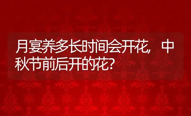 月宴养多长时间会开花,中秋节前后开的花？ | 养殖常见问题