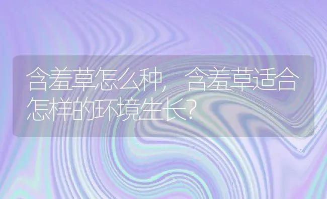 含羞草怎么种,含羞草适合怎样的环境生长？ | 养殖常见问题