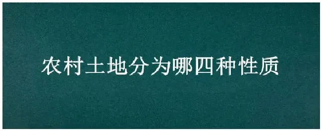 农村土地分为哪四种性质 | 三农答疑