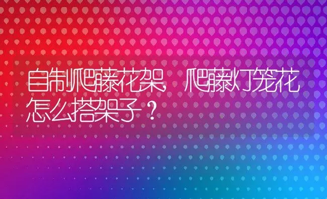 自制爬藤花架,爬藤灯笼花怎么搭架子？ | 养殖常见问题