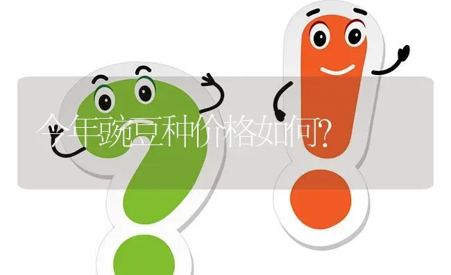 今年豌豆种价格如何? | 养殖问题解答