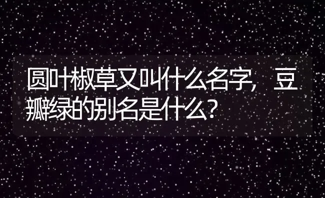 圆叶椒草又叫什么名字,豆瓣绿的别名是什么？ | 养殖常见问题