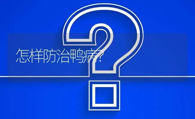 怎样防治鸭病? | 养殖问题解答