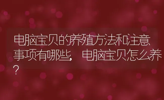 电脑宝贝的养殖方法和注意事项有哪些,电脑宝贝怎么养？ | 养殖常见问题