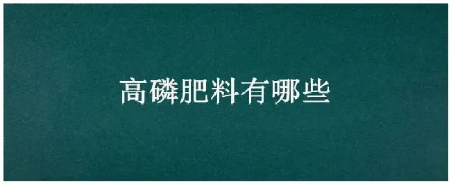 高磷肥料有哪些 | 科普知识