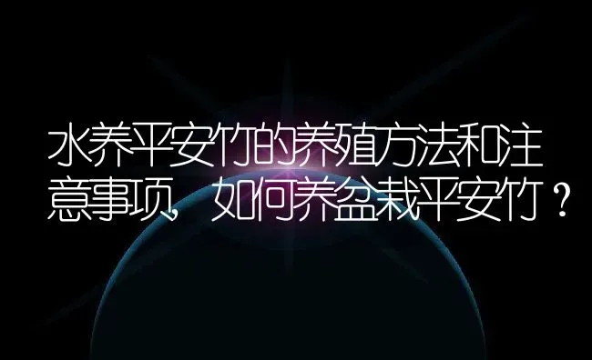 水养平安竹的养殖方法和注意事项,如何养盆栽平安竹？ | 养殖常见问题