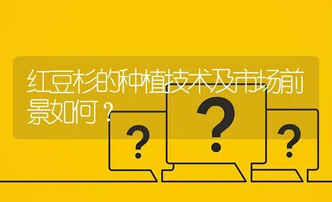红豆杉的种植技术及市场前景如何? | 养殖问题解答