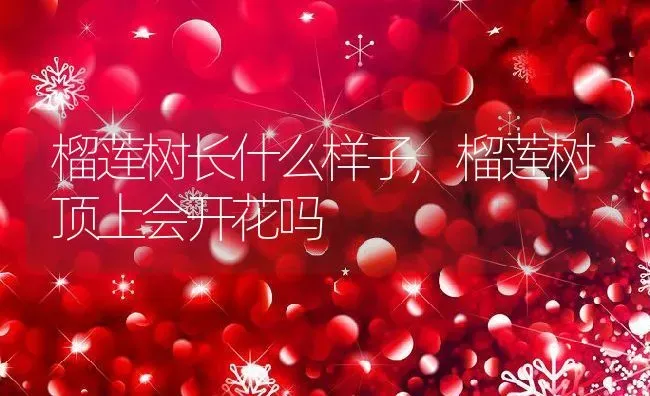 金鱼吊兰怎么修剪,金鱼吊兰根长出盆底要换盆吗 | 养殖常见问题