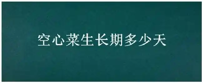空心菜生长期多少天 | 生活常识