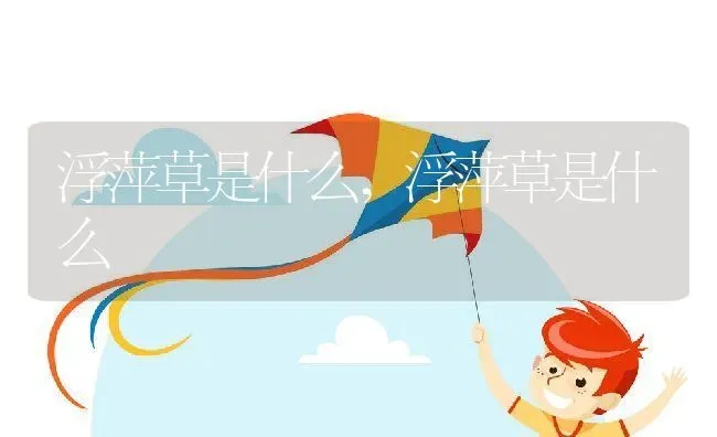 浮萍草是什么,浮萍草是什么 | 养殖常见问题