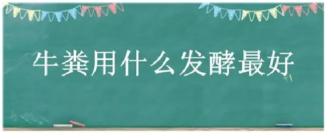 牛粪用什么发酵最好 | 三农答疑