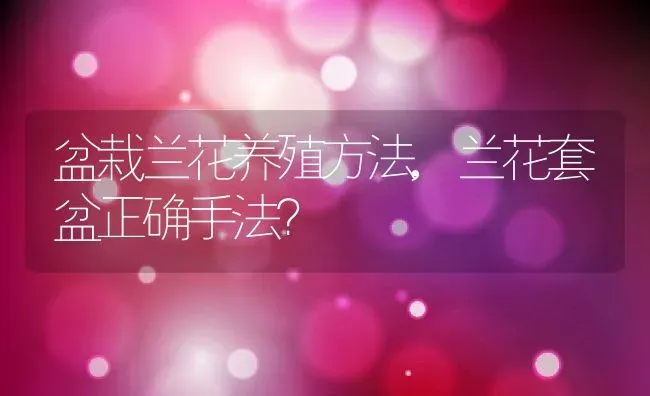 盆栽兰花养殖方法,兰花套盆正确手法？ | 养殖常见问题
