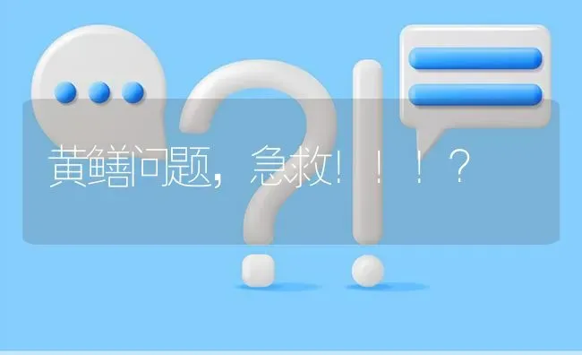 黄鳝问题,急救！！！? | 养殖问题解答