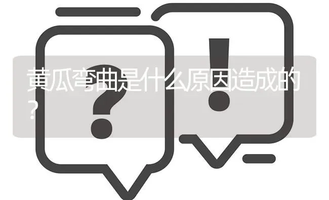 黄瓜弯曲是什么原因造成的? | 养殖问题解答