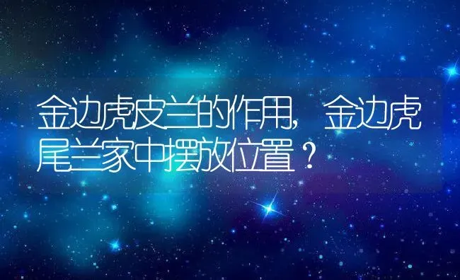 金边虎皮兰的作用,金边虎尾兰家中摆放位置？ | 养殖常见问题