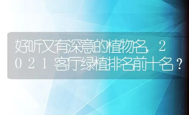 好听又有深意的植物名,2021客厅绿植排名前十名？ | 养殖常见问题