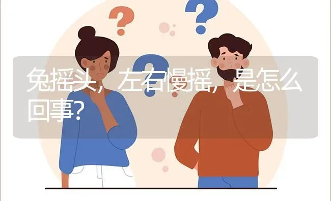 兔摇头,左右慢摇,是怎么回事? | 养殖问题解答