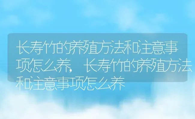 长寿竹的养殖方法和注意事项怎么养,长寿竹的养殖方法和注意事项怎么养 | 养殖常见问题