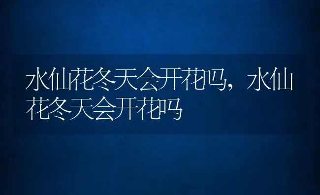 水仙花冬天会开花吗,水仙花冬天会开花吗 | 养殖常见问题