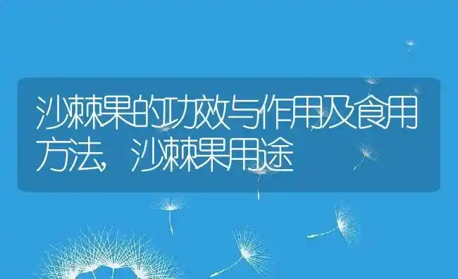 沙棘果的功效与作用及食用方法,沙棘果用途 | 养殖常见问题