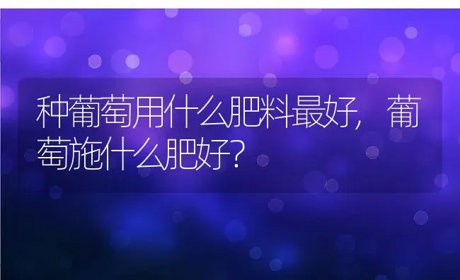 种葡萄用什么肥料最好,葡萄施什么肥好？ | 养殖常见问题