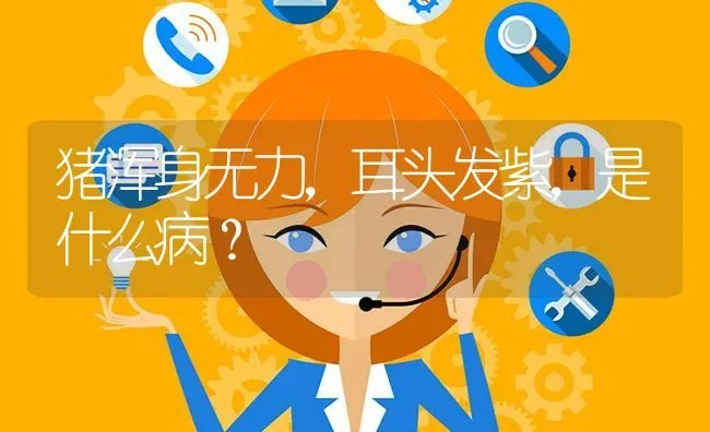 猪浑身无力,耳头发紫,是什么病? | 养殖问题解答