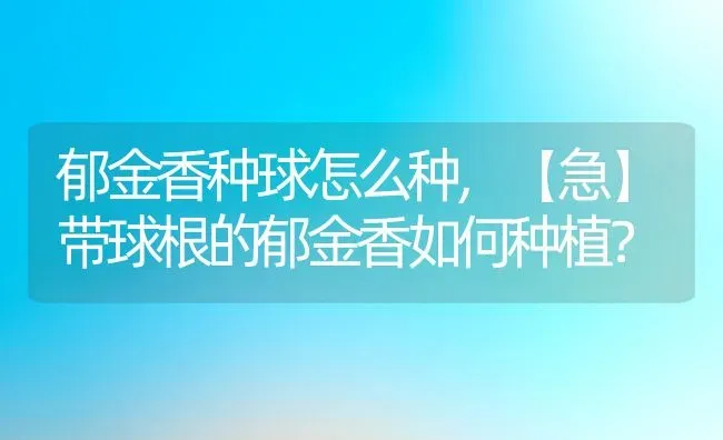 郁金香种球怎么种,【急】带球根的郁金香如何种植？ | 养殖常见问题