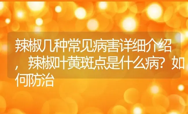 辣椒几种常见病害详细介绍,辣椒叶黄斑点是什么病？如何防治 | 养殖常见问题