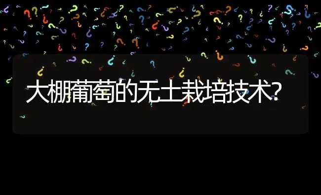 大棚葡萄的无土栽培技术? | 养殖问题解答