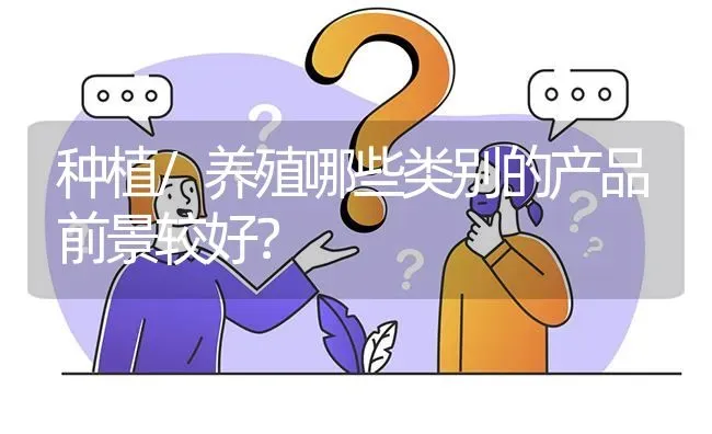 种植/养殖哪些类别的产品前景较好? | 养殖问题解答