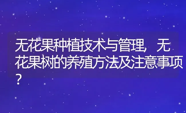 无花果种植技术与管理,无花果树的养殖方法及注意事项？ | 养殖常见问题