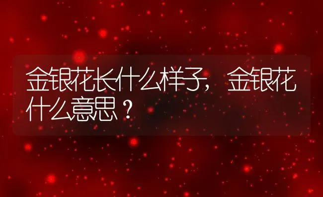 金银花长什么样子,金银花什么意思？ | 养殖常见问题